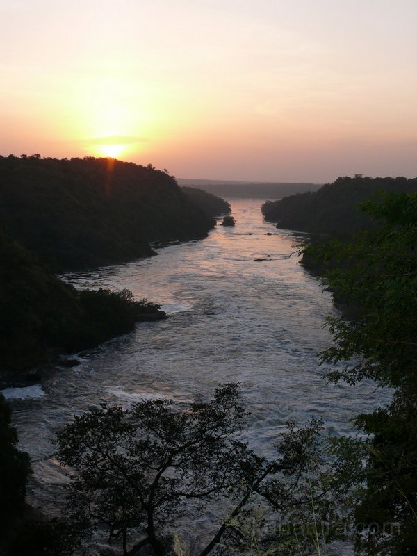 010 008 P1120507.jpg
